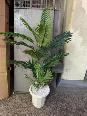 Palm With a Natural Look - thumbnail 2