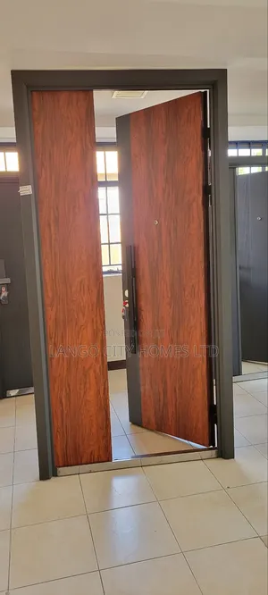 Modern Steel Imported Double Door