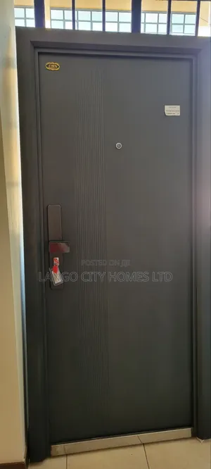Modern Imported Single Security Doors