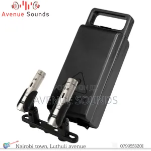 C2 Condenser Mic