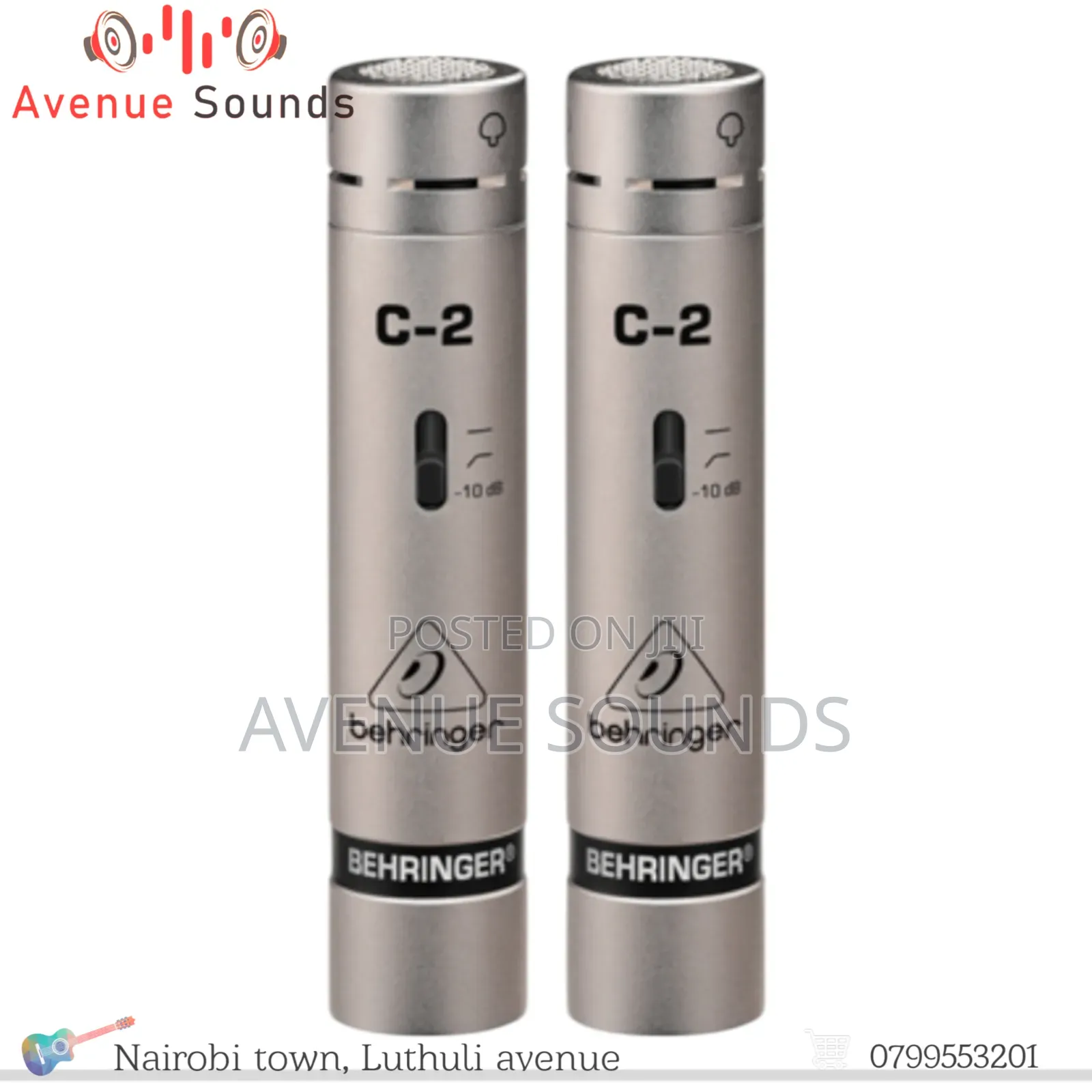 C2 Condenser Mic