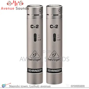 C2 Condenser Mic