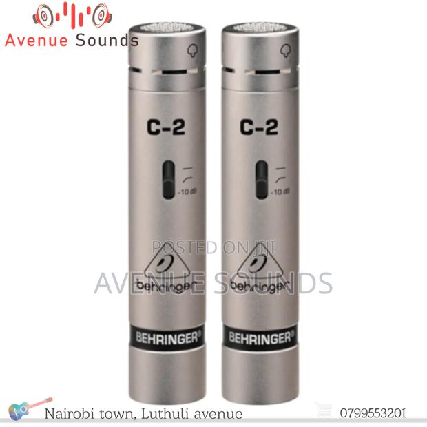 C2 Condenser Mic - thumbnail 2
