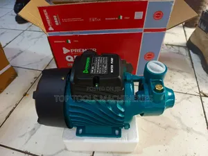 Premier 1hp Booster Pump