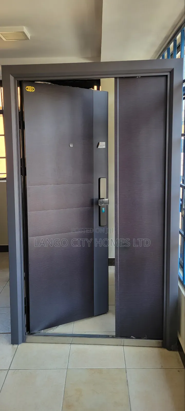 Imported Modern Double Steel Door