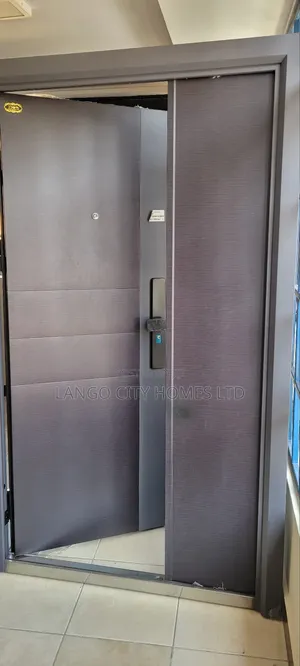 Imported Modern Double Steel Door