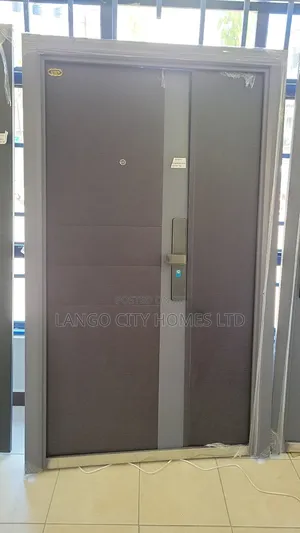 Imported Modern Double Steel Door