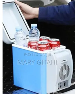 Portable Mini Car Fridge Cooler Warmer 7.5L