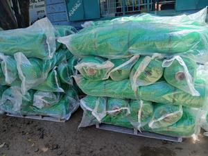 Safety Net - main view