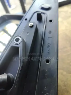 Mitsubishi Delica Side Mirror