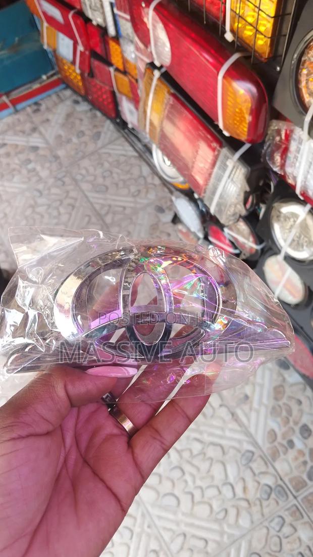 Toyota Side Indicator Covers/ Side Indicator Covers - main view