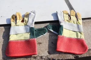 Short-cuffed Leather Gloves