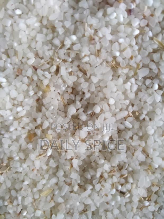 The Dog Rice - main view