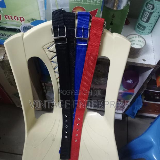 *Dog Collardog Collar - main view