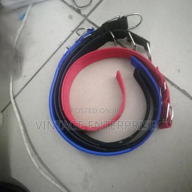 *Dog Collardog Collar - thumbnail 3