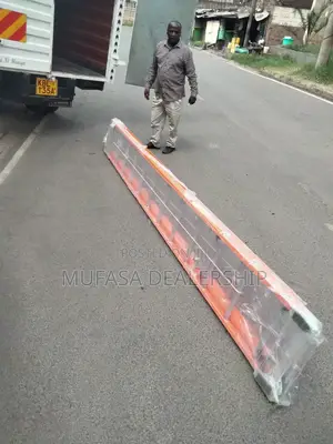 Telescopic Ladder