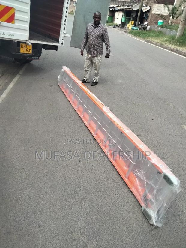 Telescopic Ladder