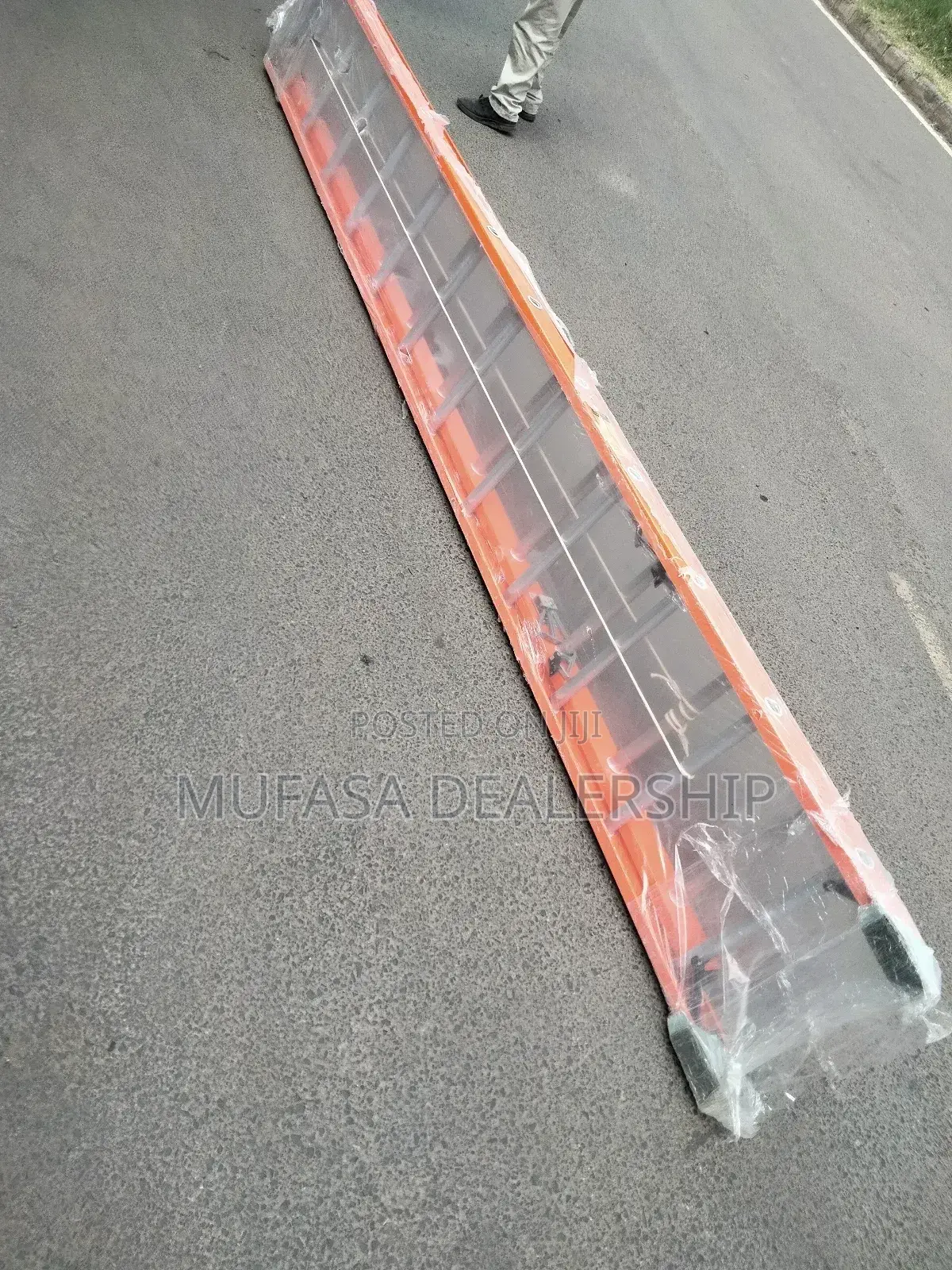 Telescopic Ladder