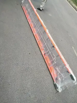 Telescopic Ladder
