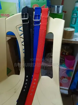 Dog Collar