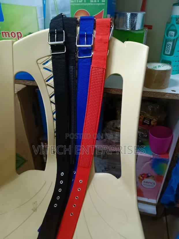 Dog Collar - main view