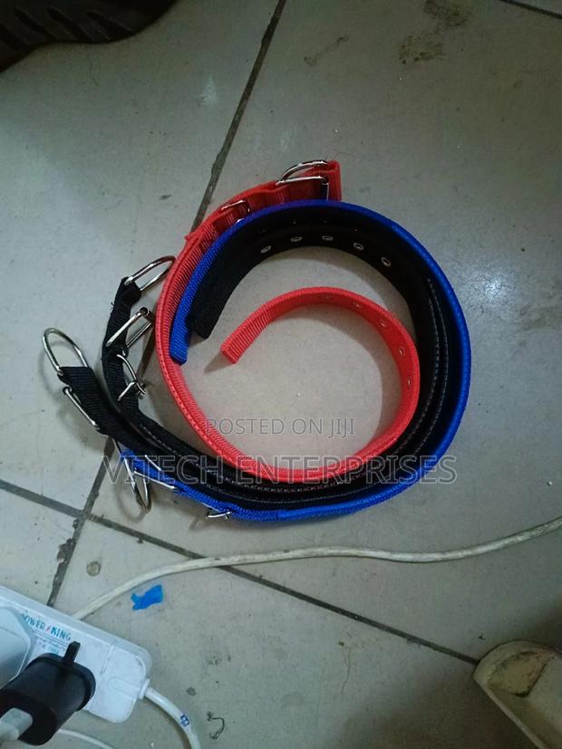 Dog Collar+Dog Collar - main view