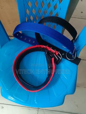 Dog Collar Available in All Colours - thumbnail 2