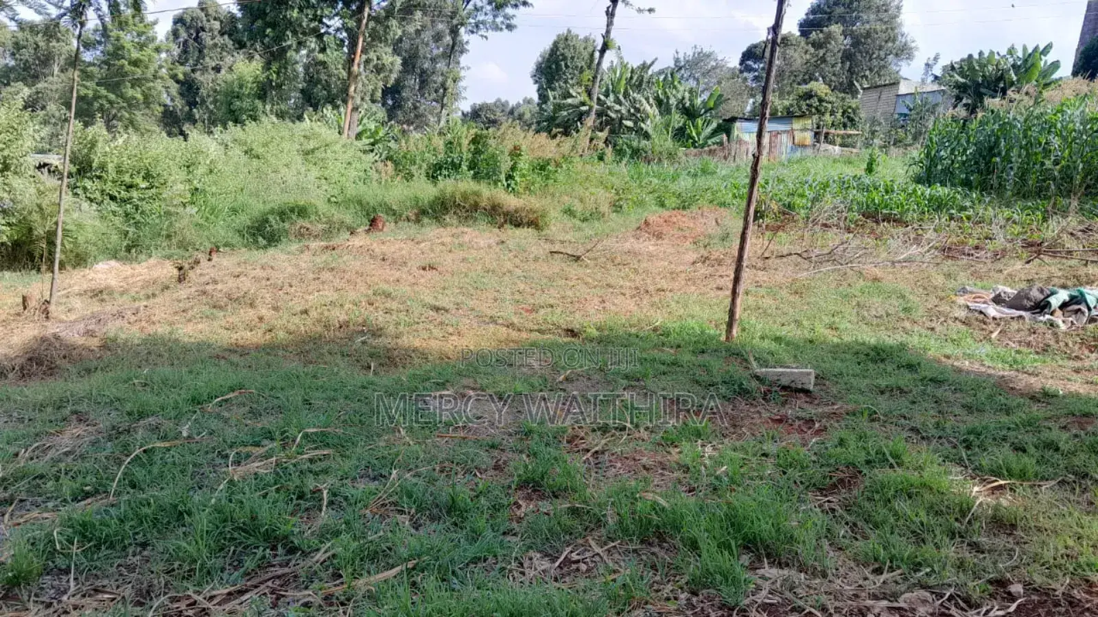 Plot for Sale in Wangige