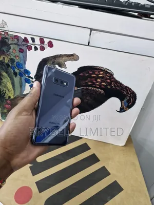 Samsung Galaxy S10e 128 GB Blue