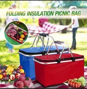 Picnic Foldable Insulated Portable Bag