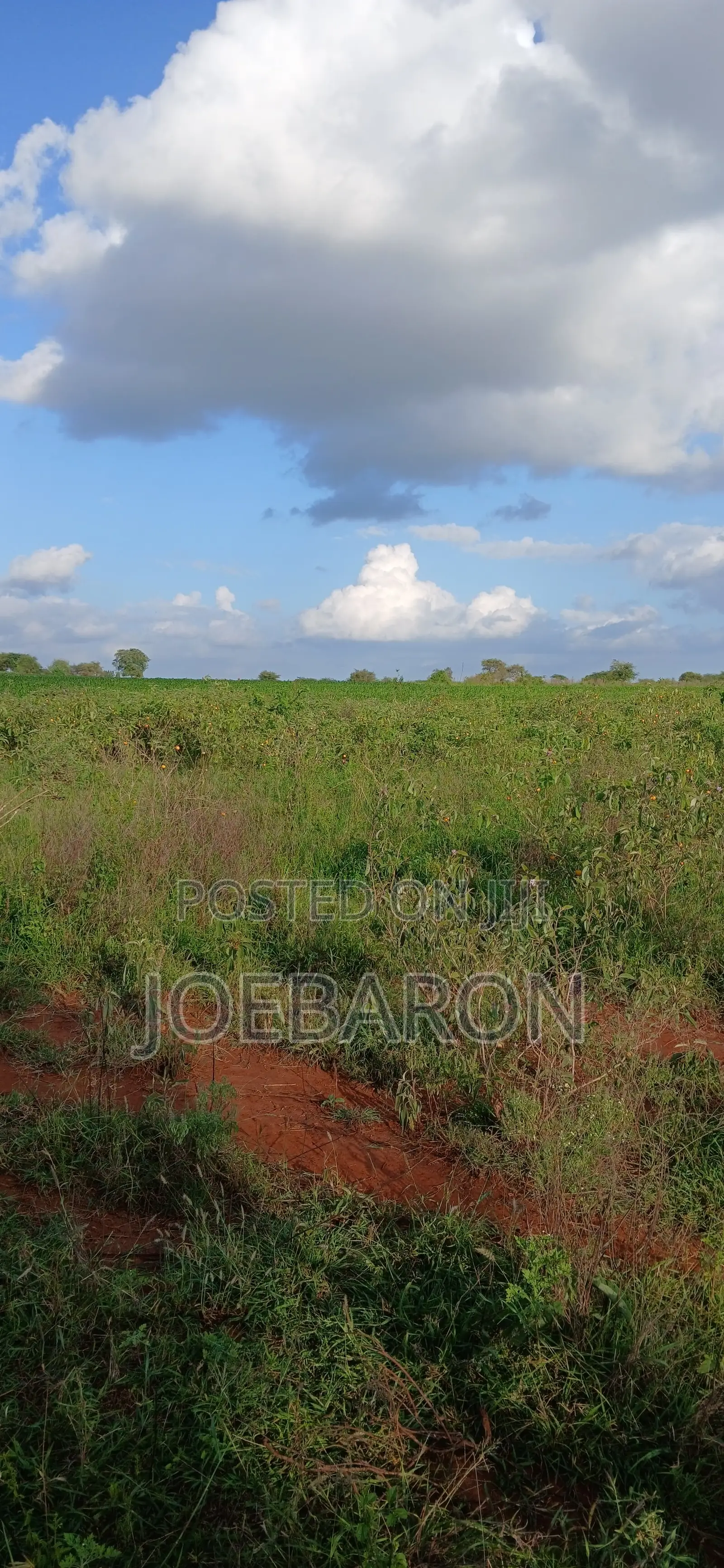 Sultan Hamud 10 Acres 500m From Msa Road