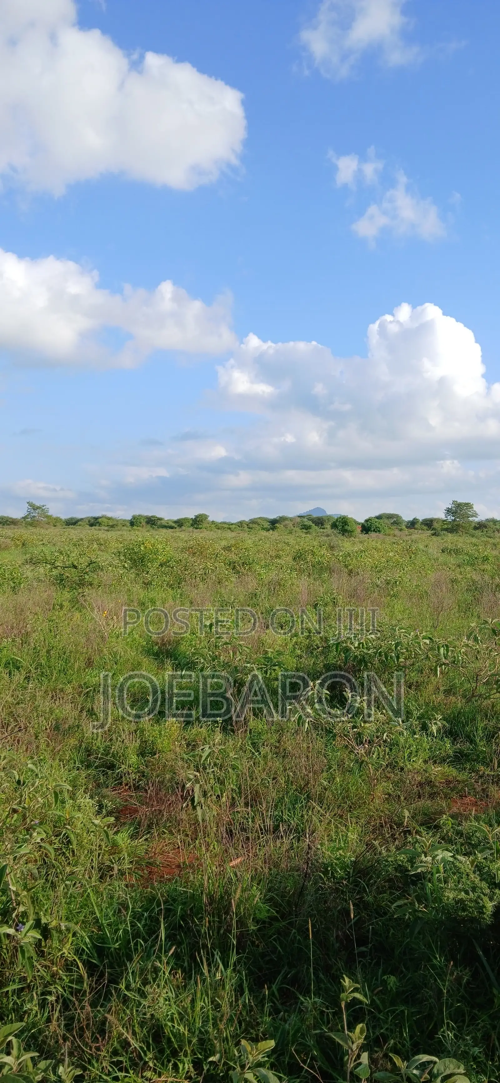 Sultan Hamud 10 Acres 500m From Msa Road