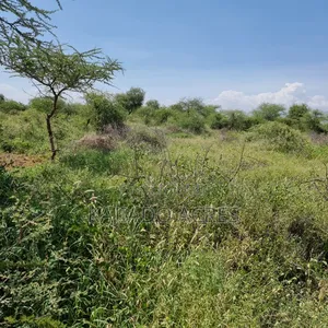 Priced to Go 16 Acres Olentoko at Per Acre