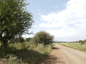 Priced to Go 16 Acres Olentoko at Per Acre