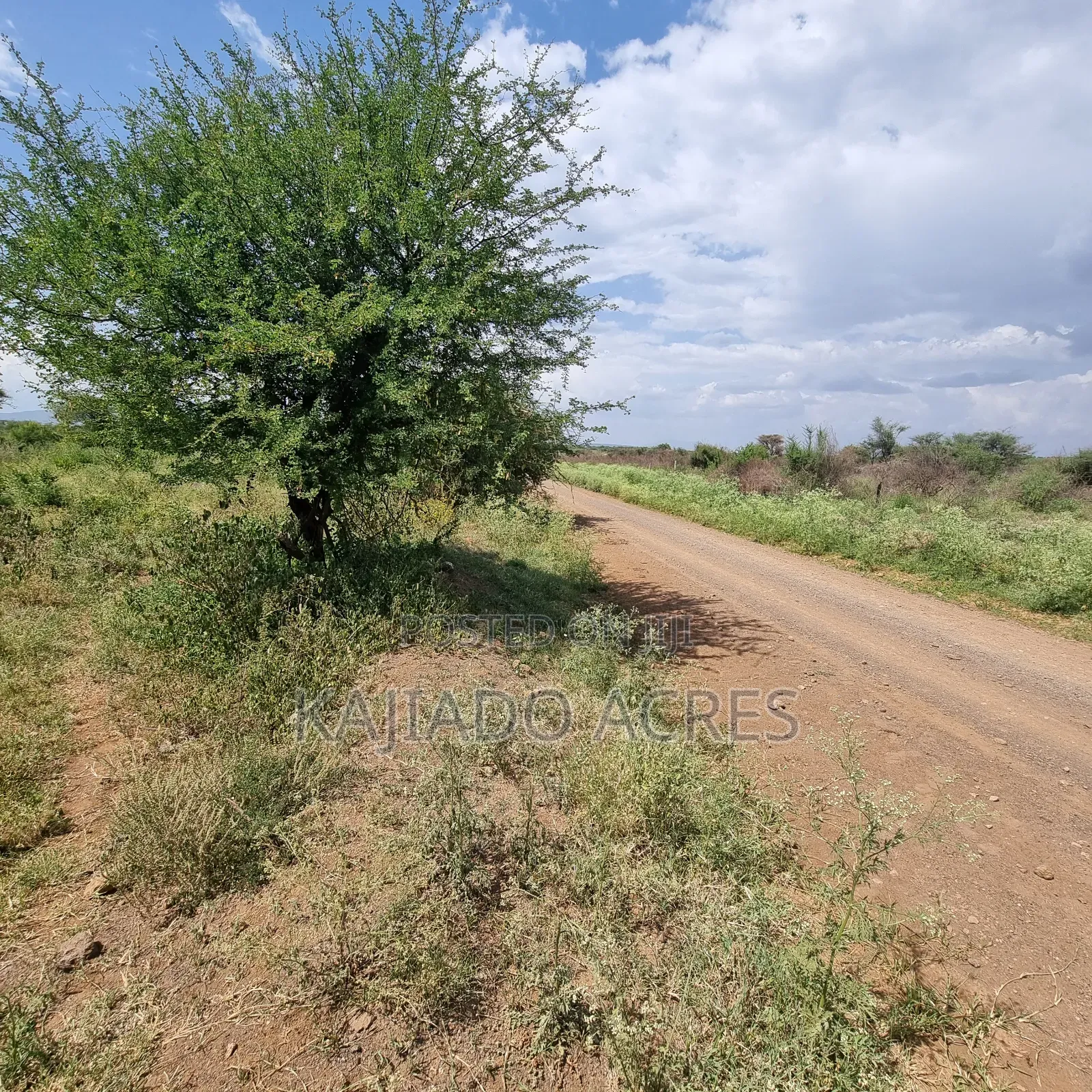Priced to Go 16 Acres Olentoko at Per Acre