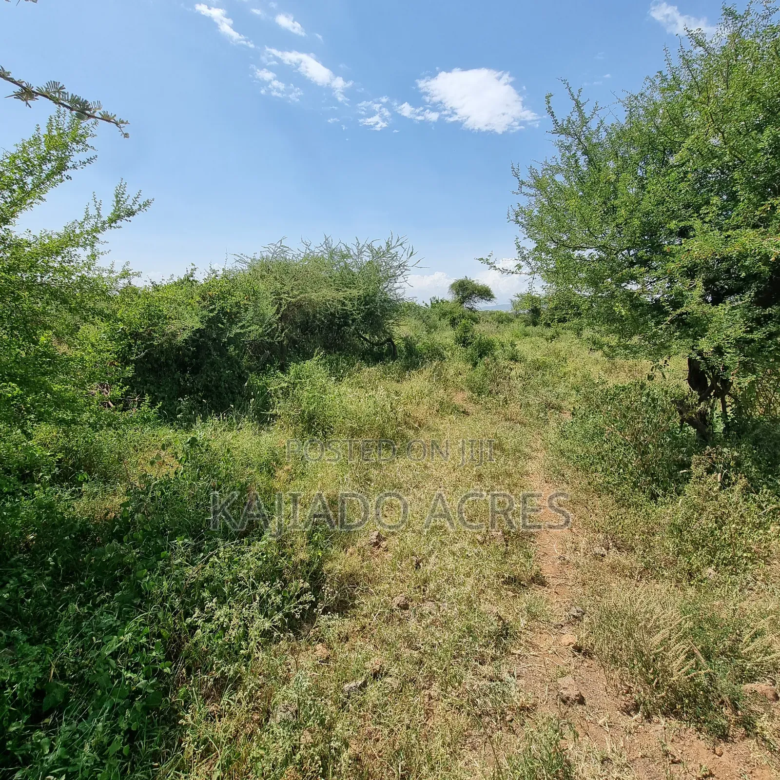Priced to Go 16 Acres Olentoko at Per Acre