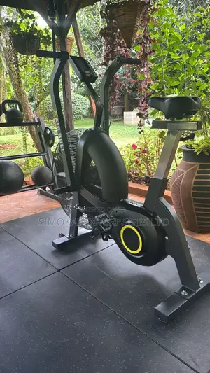 Heavy Duty Commercial Assault Air Bike