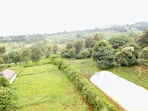 Prime 1 Acre Lemiso Road at 21m (Priced to Go,Last Price)