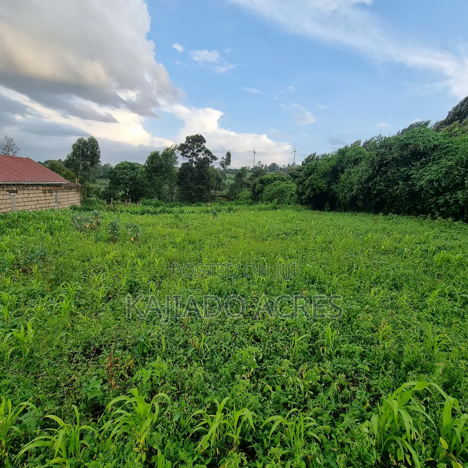 Prime 1 Acre Lemiso Road at 21m (Priced to Go,Last Price)
