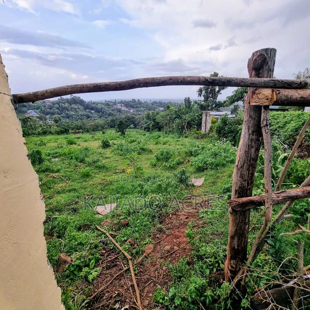 2 Acre Lemiso Road at 20m Per Acre - thumbnail 3