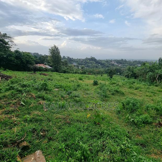 2 Acre Lemiso Road at 20m Per Acre - thumbnail 4