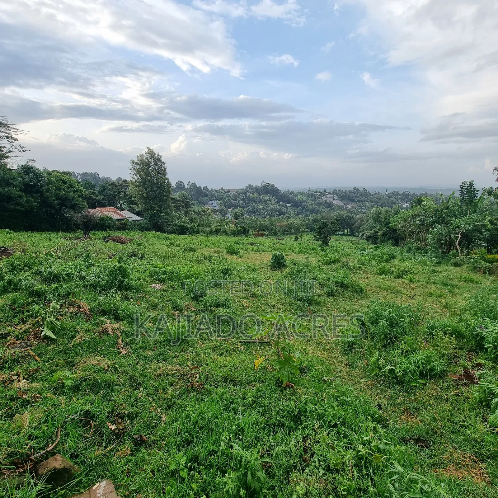 2 Acre Lemiso Road at 20m Per Acre