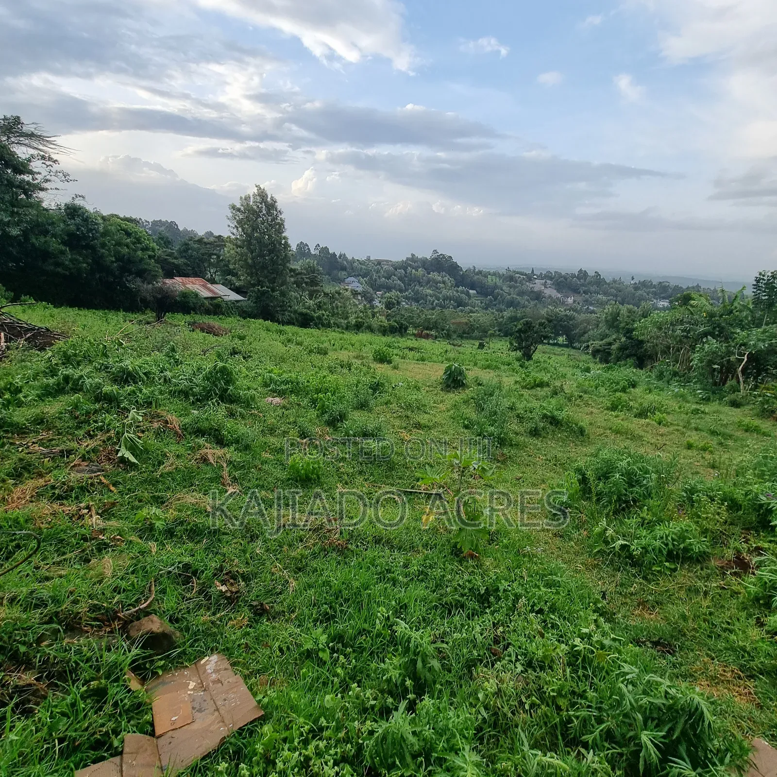 2 Acre Lemiso Road at 20m Per Acre