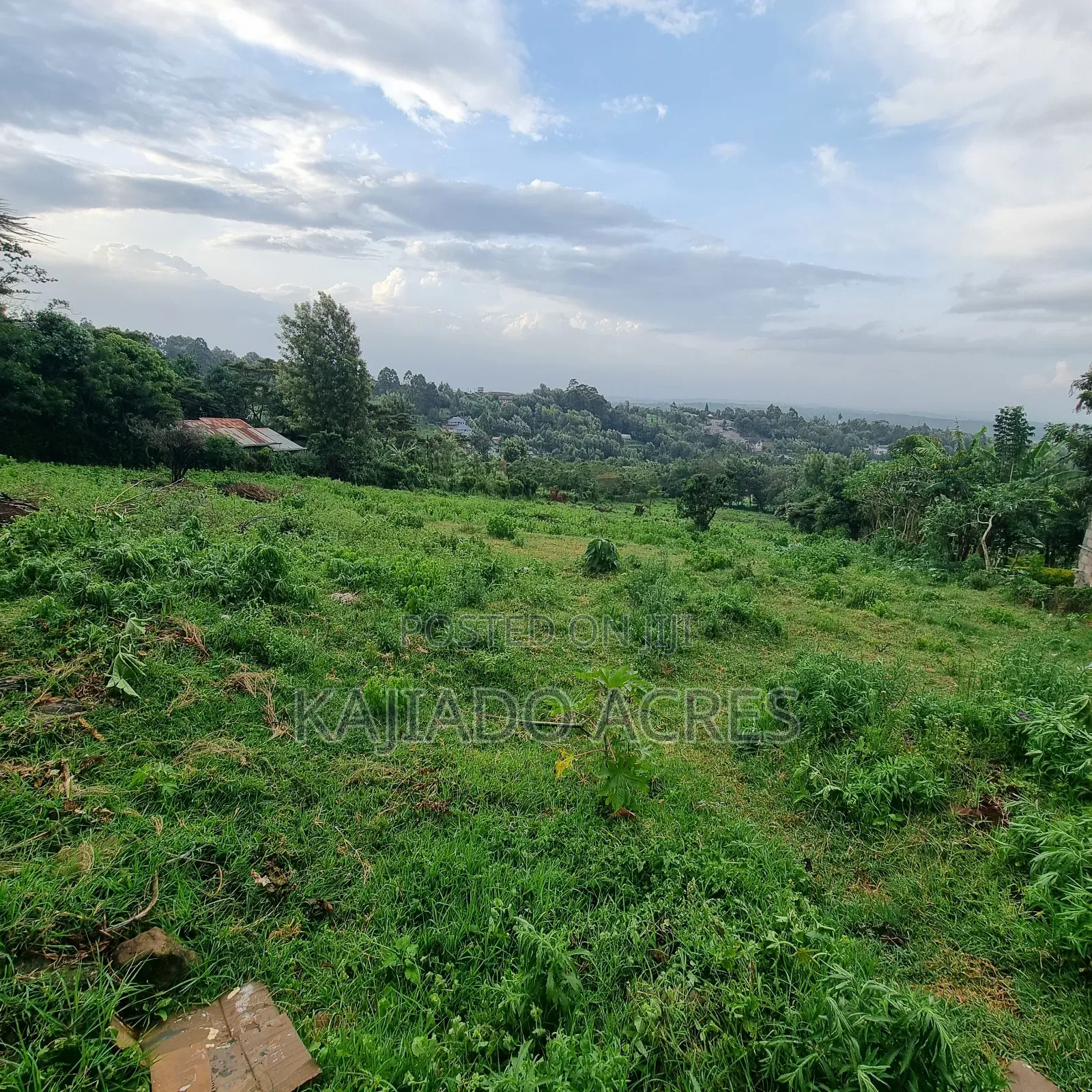 2 Acre Lemiso Road at 20m Per Acre