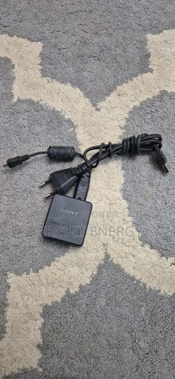 Sony NP Battery Charger