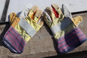 Short Fieldwork Gloves - main view