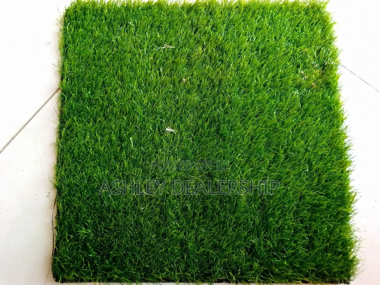 Artificial Grass