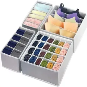 4pc Undergarment Organizer