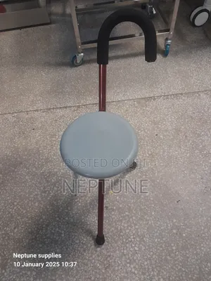 Walker Stick With Seat