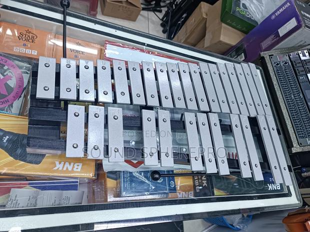 30 Note Xylophone With Case - main view